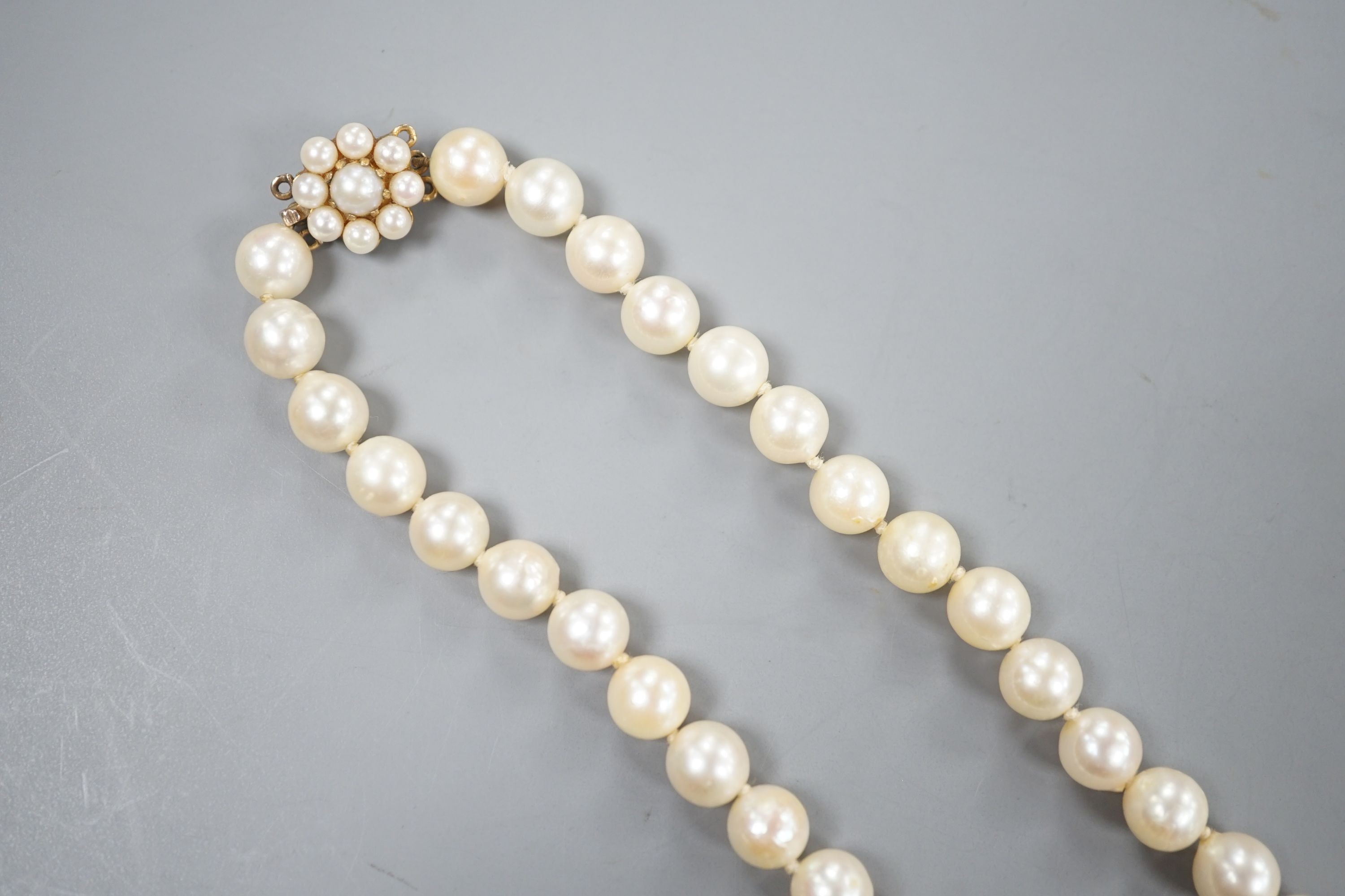 A single strand cultured pearl necklace, with 9ct and cultured pearl cluster set clasp, 43cm.